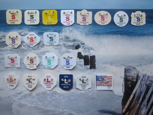 Anni collezione lavallette - 21,