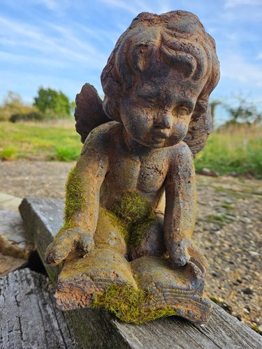 24cm reading cherub mossy - -, "mossy"